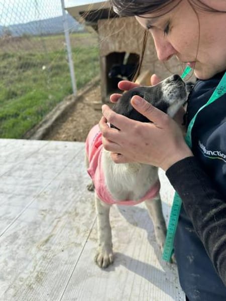 Xenia, süß, süsser - mehr geht nicht