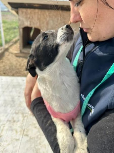 Xenia, süß, süsser - mehr geht nicht