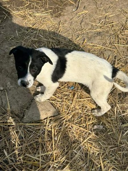 Xenia, süß, süsser - mehr geht nicht