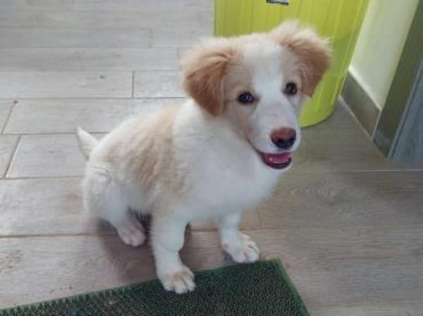 Guendalina wünscht sich Familie