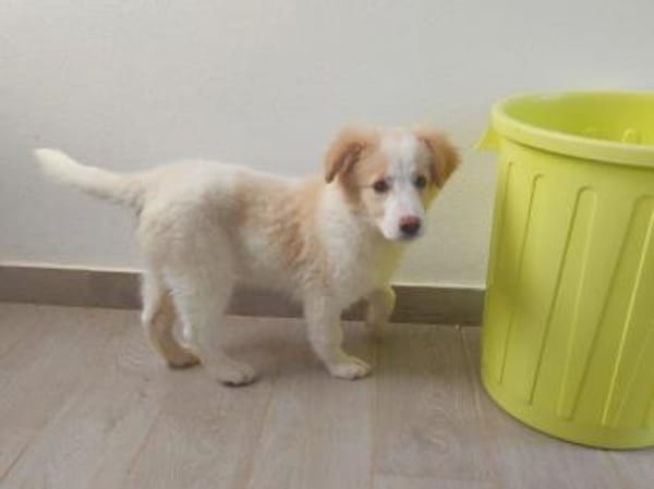 Guendalina wünscht sich Familie