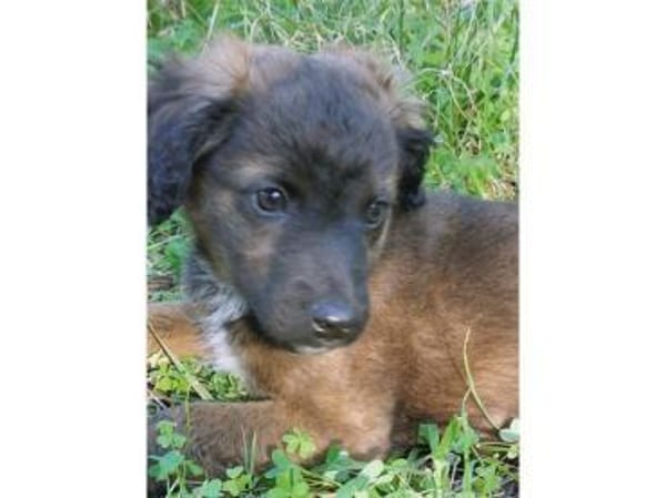 Smile möchte sein Leben genießen