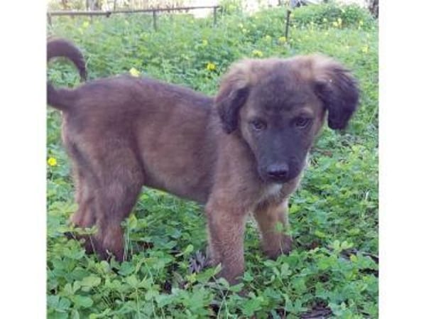 Smile möchte sein Leben genießen