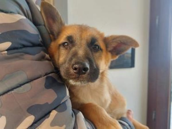 Malika sucht ihr Traumzuhause