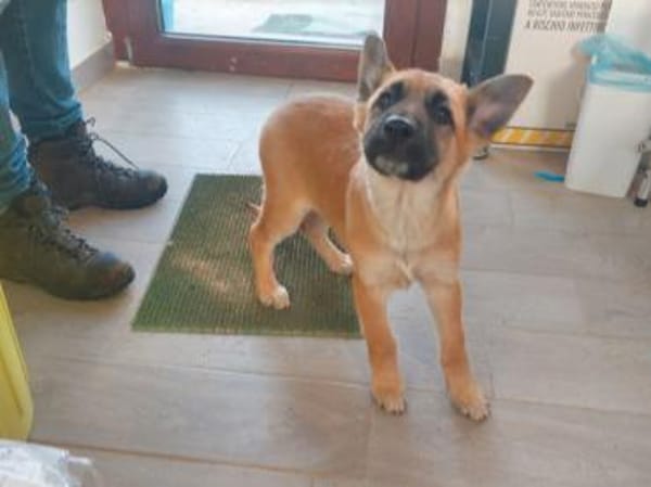 Malika sucht ihr Traumzuhause