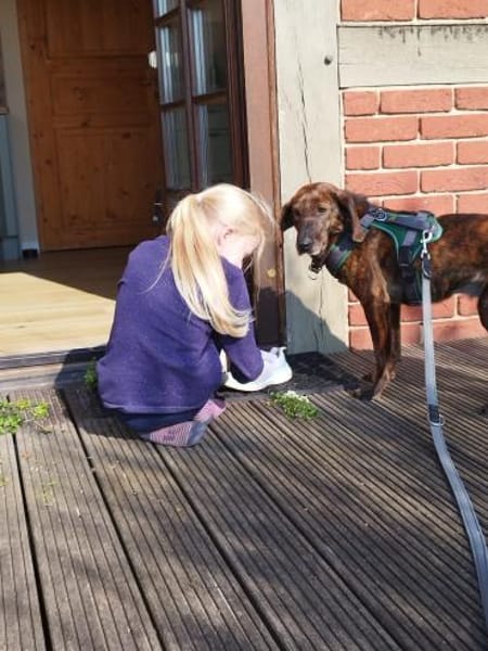 Dino 💕zauberhafter Schatz auf PS in Nds