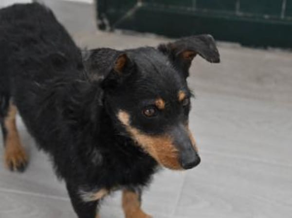 Darf Teodora Ihr Leben bereichern?