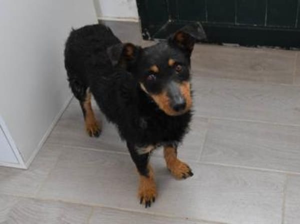 Darf Teodora Ihr Leben bereichern?