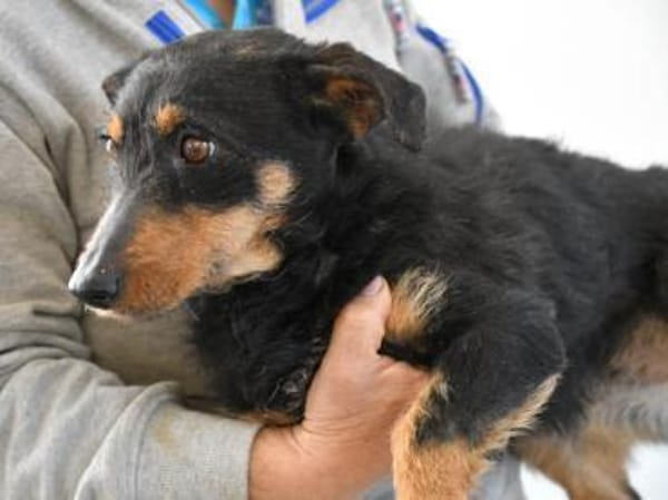 Darf Teodora Ihr Leben bereichern?