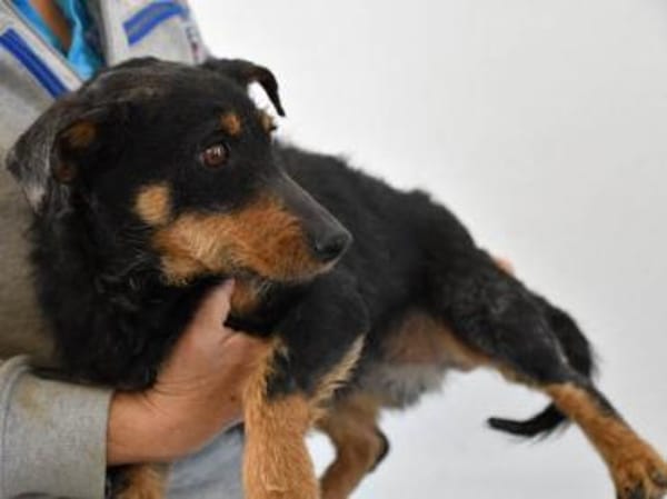 Darf Teodora Ihr Leben bereichern?