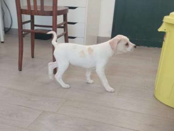 Arno möchte zu Ihnen gehören