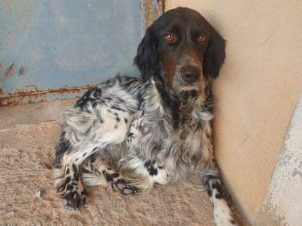 Brina sucht liebe Menschen