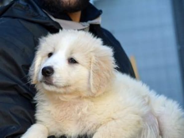 Nori sucht sein Zuhause