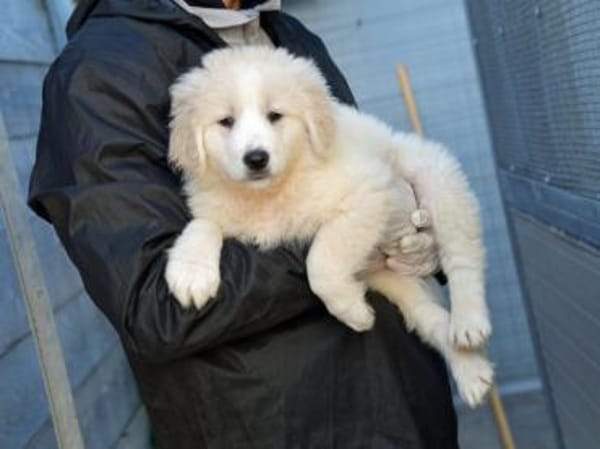 Nori sucht sein Zuhause