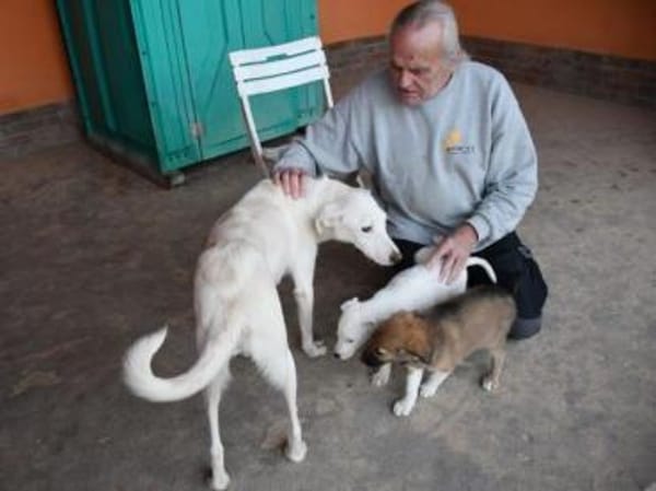 Liebenswerte Oya sucht Zuhause