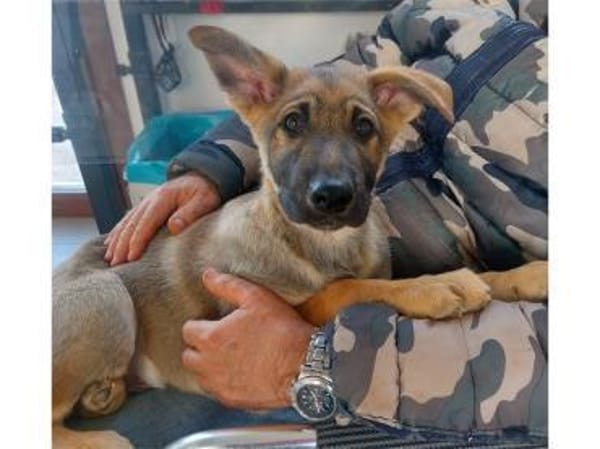 Darf Mal an Ihrem Leben teilhaben?