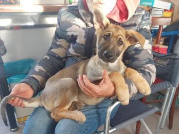 Darf Mal an Ihrem Leben teilhaben?