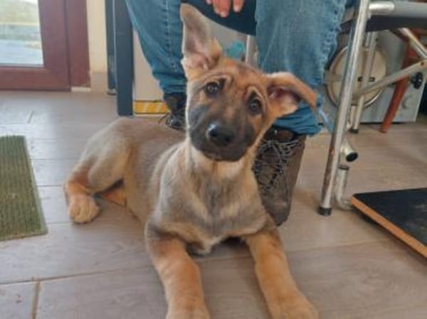 Darf Mal an Ihrem Leben teilhaben?