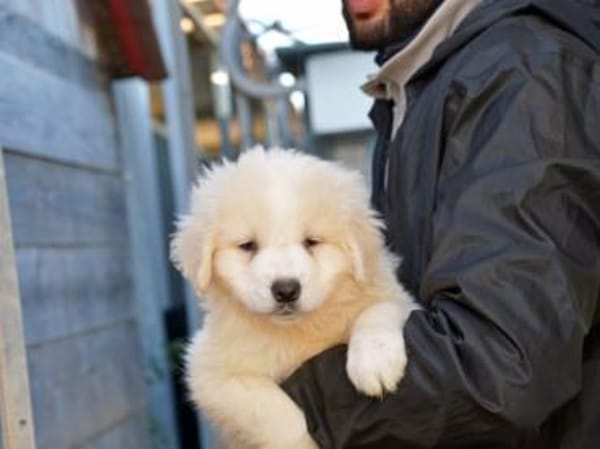 Wem darf Noah sein Herz schenken?