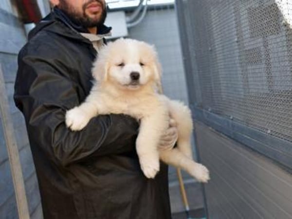 Wem darf Noah sein Herz schenken?