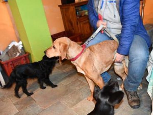 Aldo möchte seine Chance nutzen