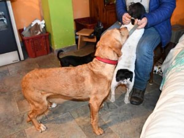 Aldo möchte seine Chance nutzen