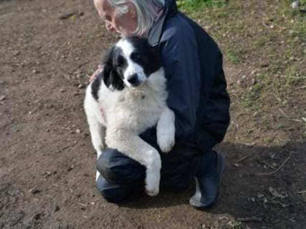 Übernehmen Sie Verantwortung für Landro?