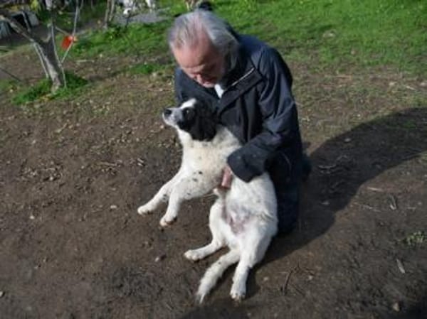 Übernehmen Sie Verantwortung für Landro?