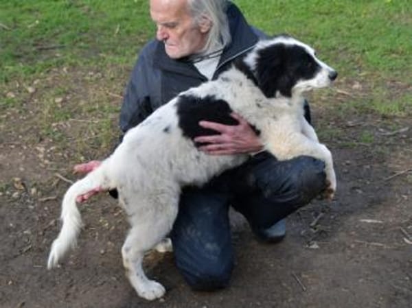 Übernehmen Sie Verantwortung für Landro?