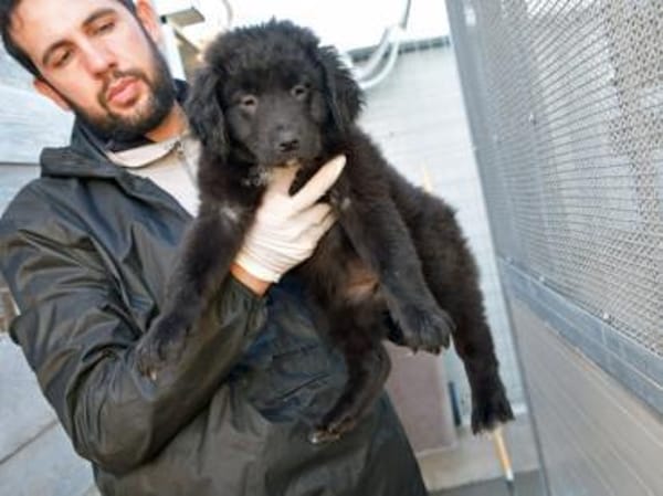 Schönes Zuhause für Nutella gesucht