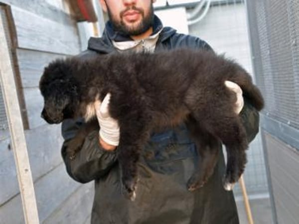 Schönes Zuhause für Nutella gesucht