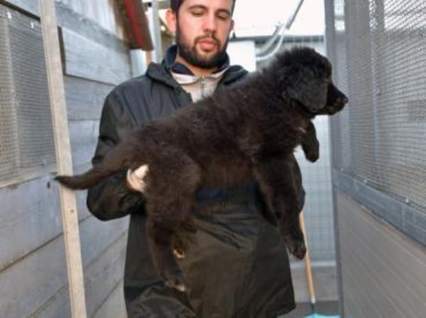 Schönes Zuhause für Nutella gesucht