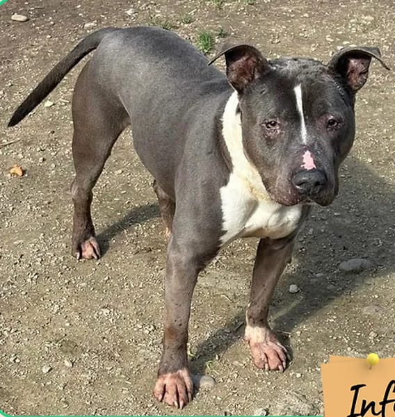 Titan ( panier retraite)