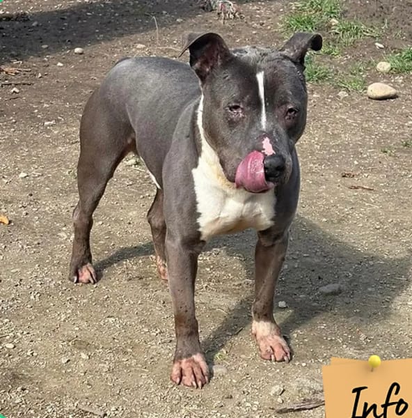 Titan ( panier retraite)