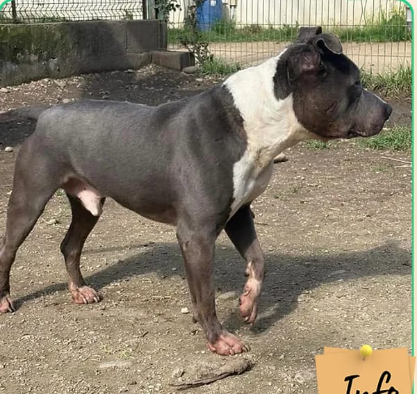 Titan ( panier retraite)