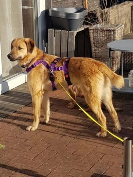 MURI -möchte die Welt gezeigt bekommen-