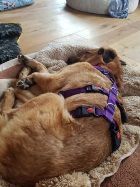 MURI -möchte die Welt gezeigt bekommen-