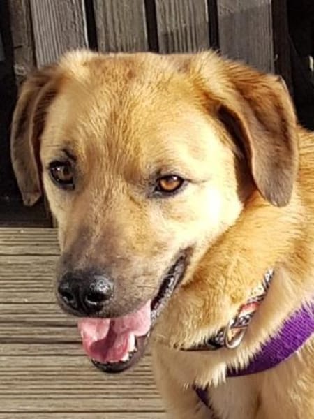 MURI -möchte die Welt gezeigt bekommen-