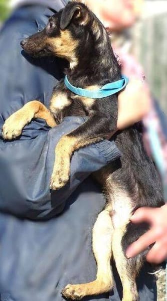 LINO wartet mit gepacktem Koffer