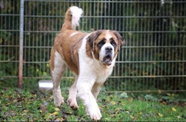 Oskar und Mia suchen ein Zuhause