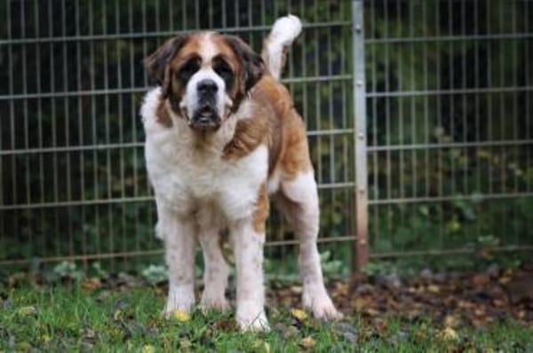 Oskar und Mia suchen ein Zuhause