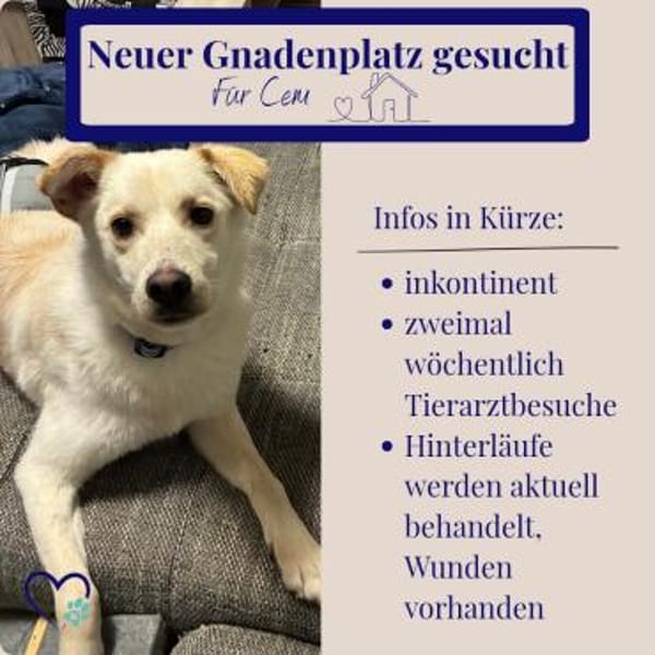 Cem - sucht Gnadenplatz