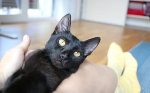 Nashi ist berei für ein neues Leben