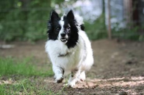 Putziger Skittle, bist Du seine Familie?