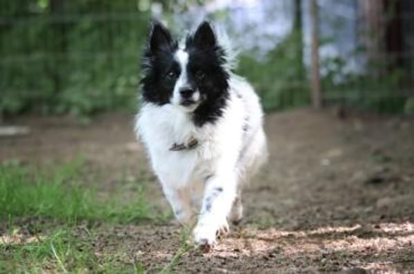 Putziger Skittle, bist Du seine Familie?