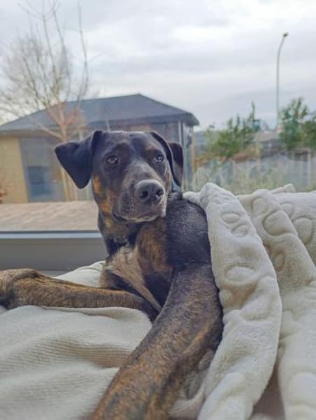 Aktive Pina wartet in 52385 Nideggen