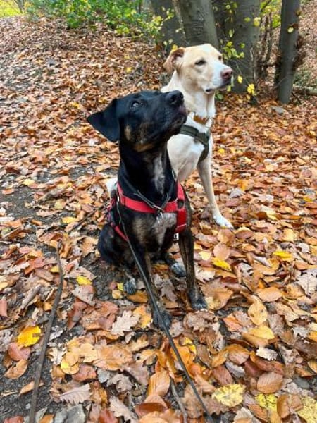 Aktive Pina wartet in 52385 Nideggen