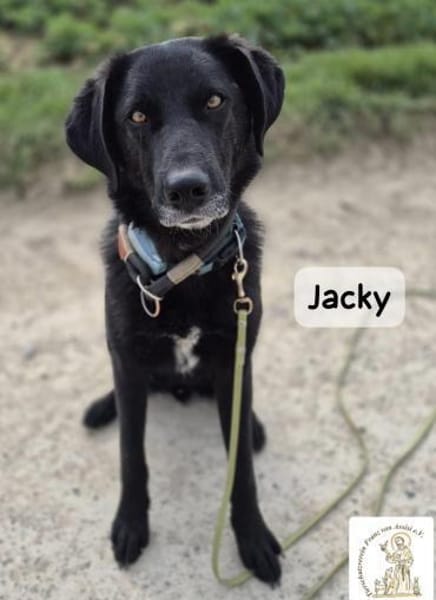 Jacky  1000 Gründe, sich zu verlieben!