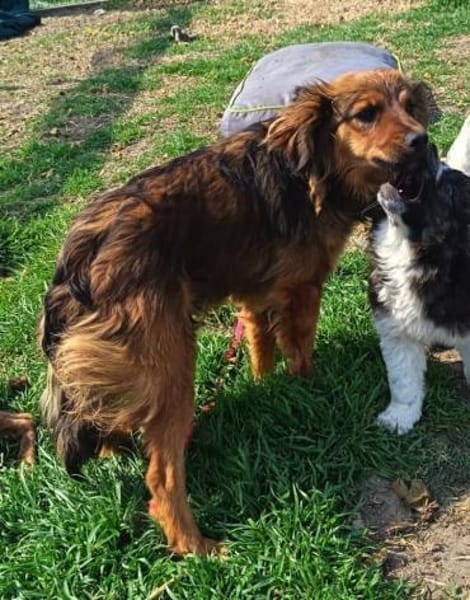 Hübsche Medyson sucht euch