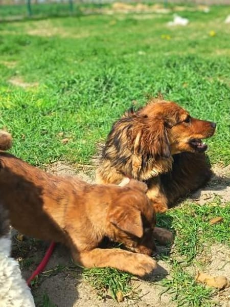 Hübsche Medyson sucht euch